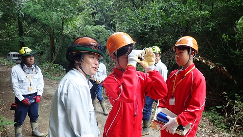樹高計側の様子