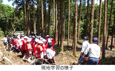 現地学習の様子