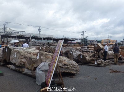 出品した土埋木