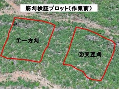 筋刈検証プロット作業前の上空からの写真