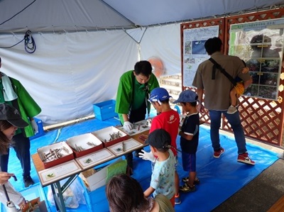 小枝えんぴつ作りで小枝を選ぶ子供