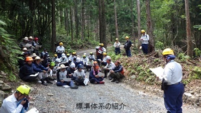 標準体系の紹介
