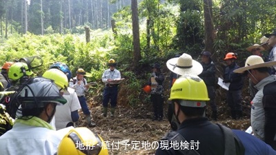 地拵・植付予定地の現地検討