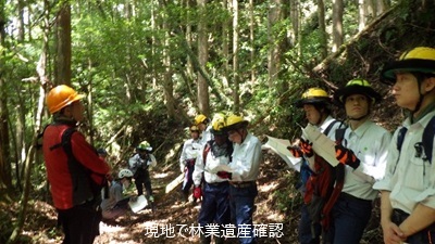 現地で林業遺産確認