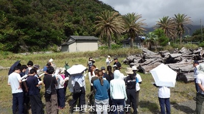土埋木説明の様子