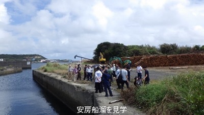 安房船溜を見学