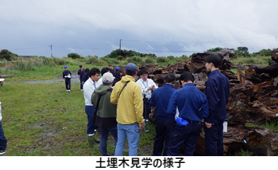 土埋木見学の様子