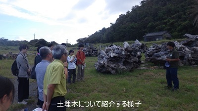 土埋木について紹介する様子