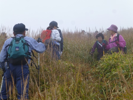 くじゅう地区高山植物保護対策協議会による湧蓋山パトロールを実施（平成30年10月19日）