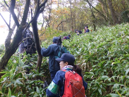 くじゅう地区高山植物保護対策協議会による湧蓋山パトロールを実施（平成30年10月19日）