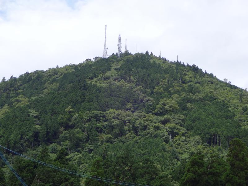 熊本市　金峰山国有林191は林小班外
