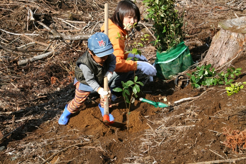 どんぐり１０００年植樹祭