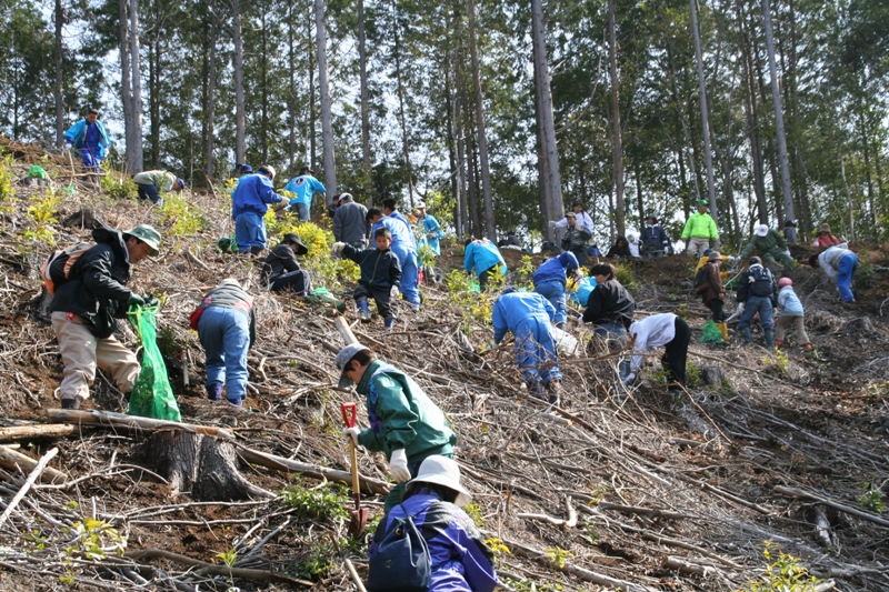 どんぐり１０００年植樹祭