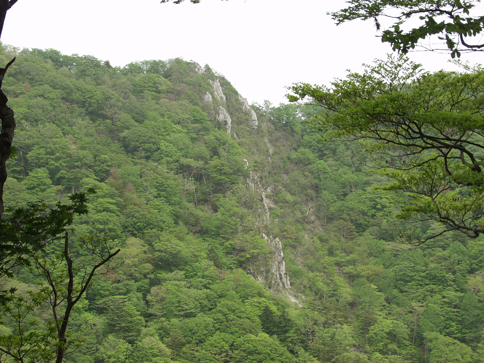 白岩山