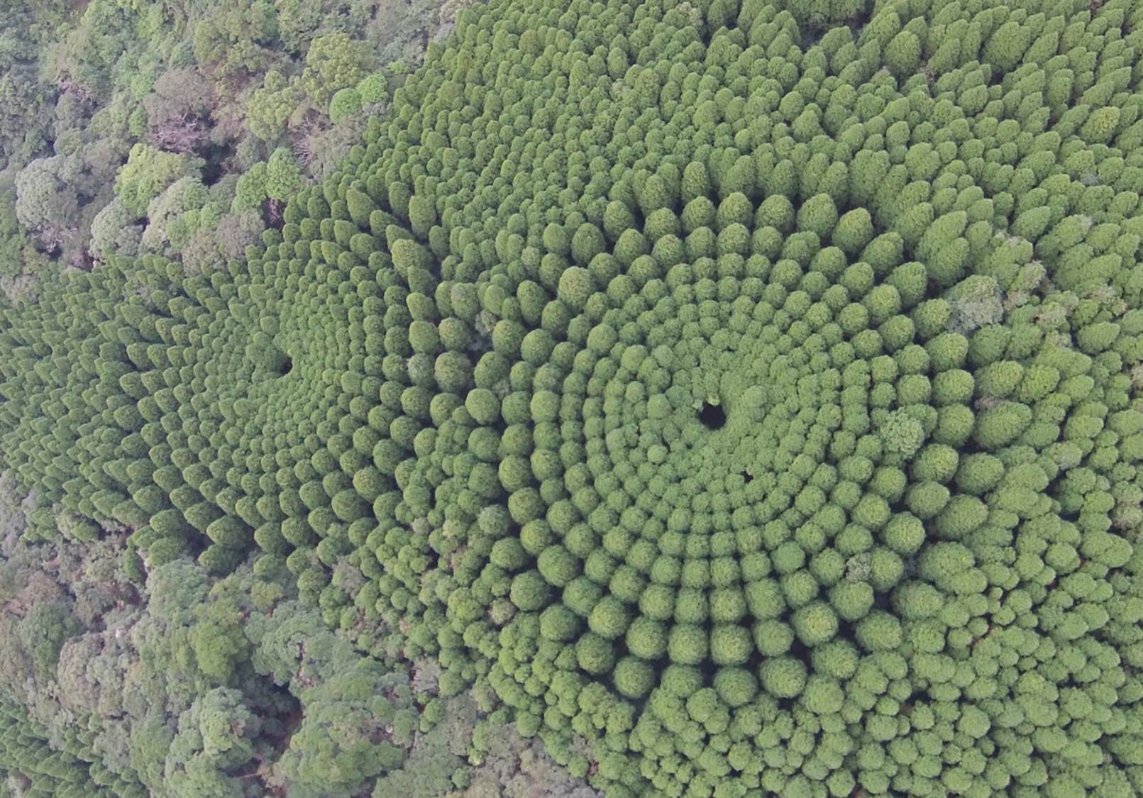 上空からドローン撮影