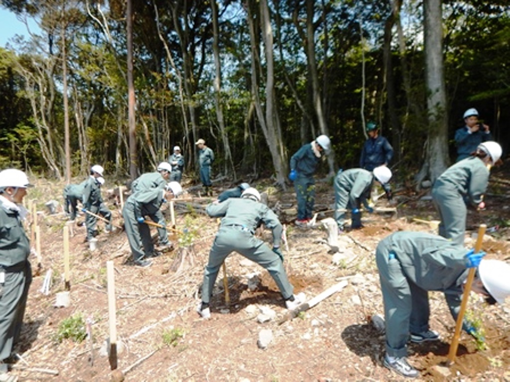 植樹の様子