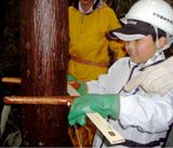 間伐調査体験の様子