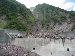 由布鶴見嶽国有林