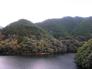 青山国有林