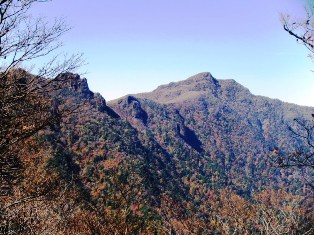 鑛山国有林