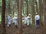 鋸谷式間伐箇所での研修の様子