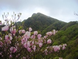 春の祖母山