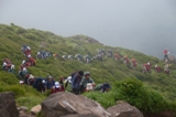 登山大会の様子