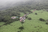 登山大会の様子