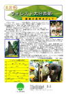 第4号
