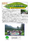 第7号
