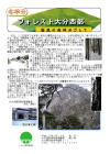 第8号