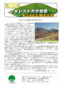 第15号