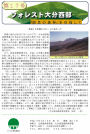 第17号