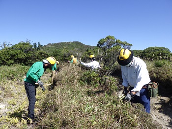 みやまきりしま1