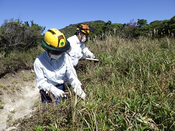 みやまきりしま2