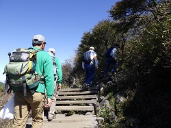 みやまきりしま5