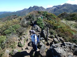 みやまきりしま6