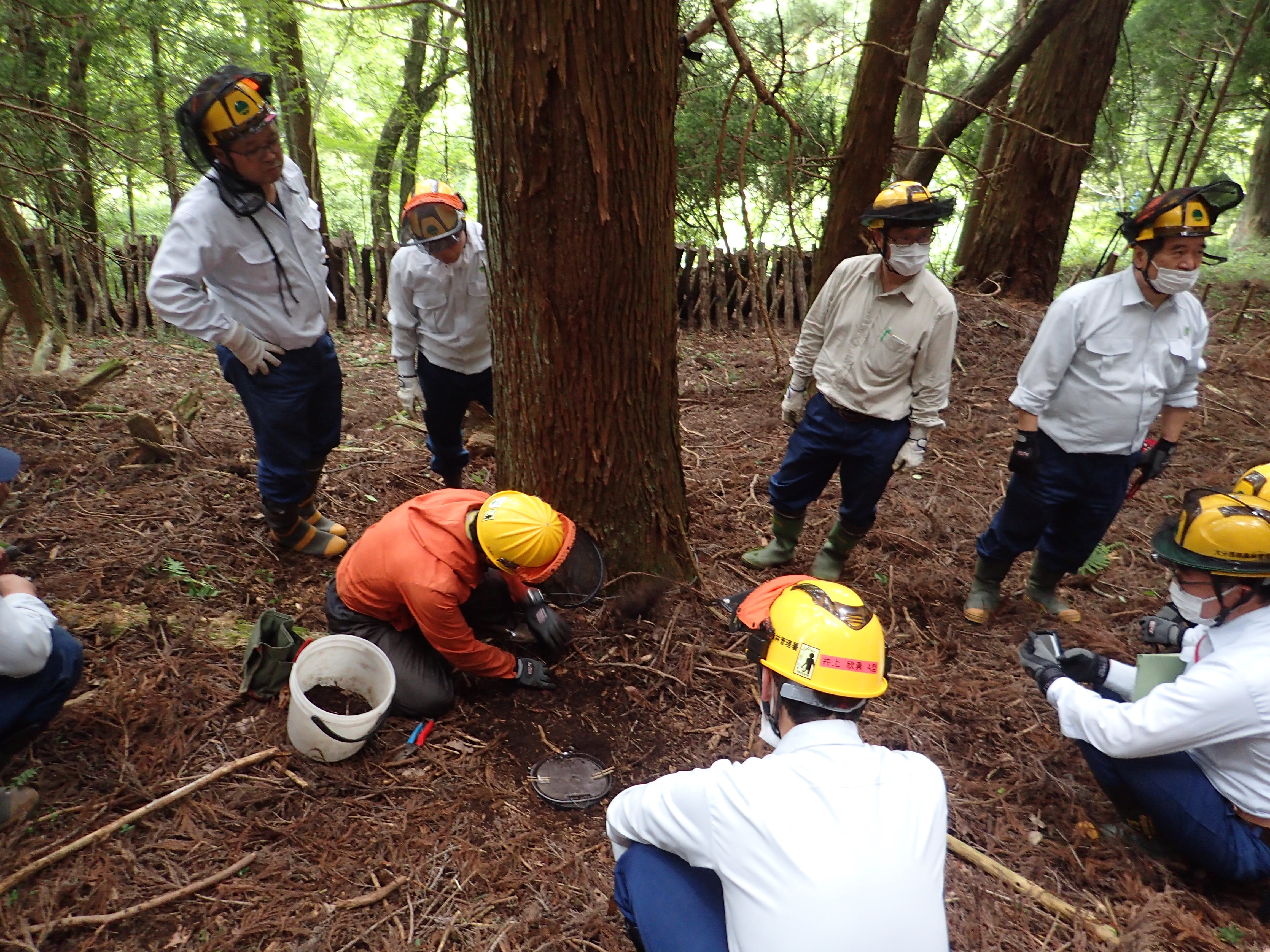 くくり罠設置方法