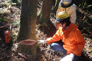インターシップ木の切り方説明会