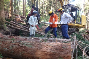 インターシップ伐採後説明会