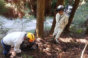 インターシップ2人組