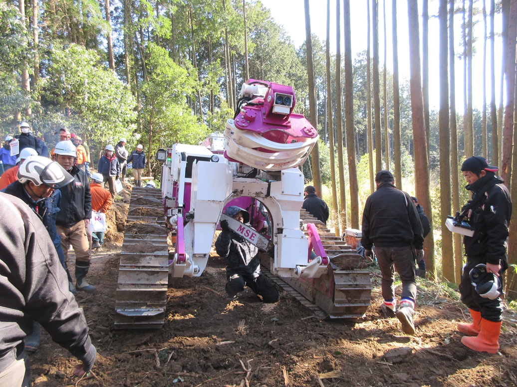 【伐倒】45度までの傾斜地の伐倒が可能