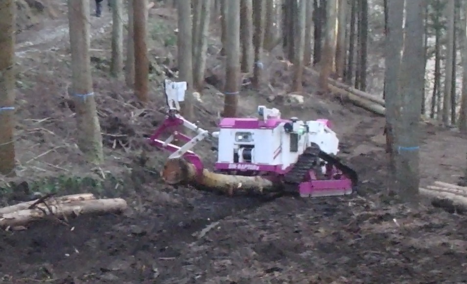 【集材】伐倒木をウインチにて集材