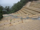 桑木山治山工事1