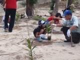 植樹1