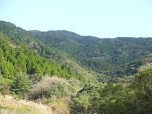 水源涵養