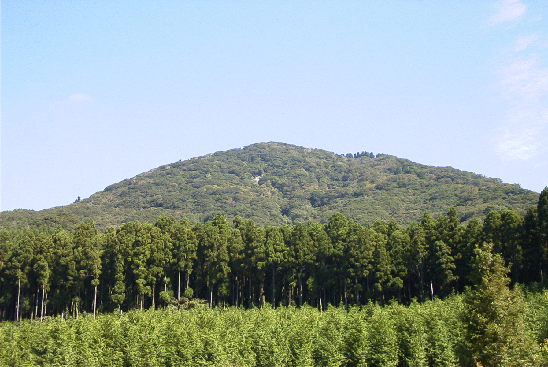 浮岳アカガシ遺伝資源希少個体群保護林