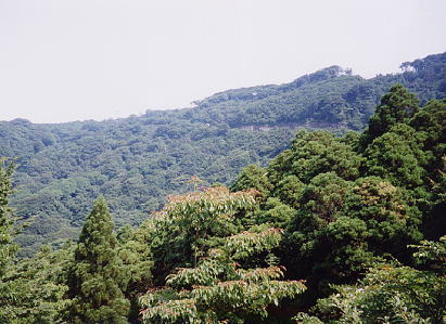 脊振村