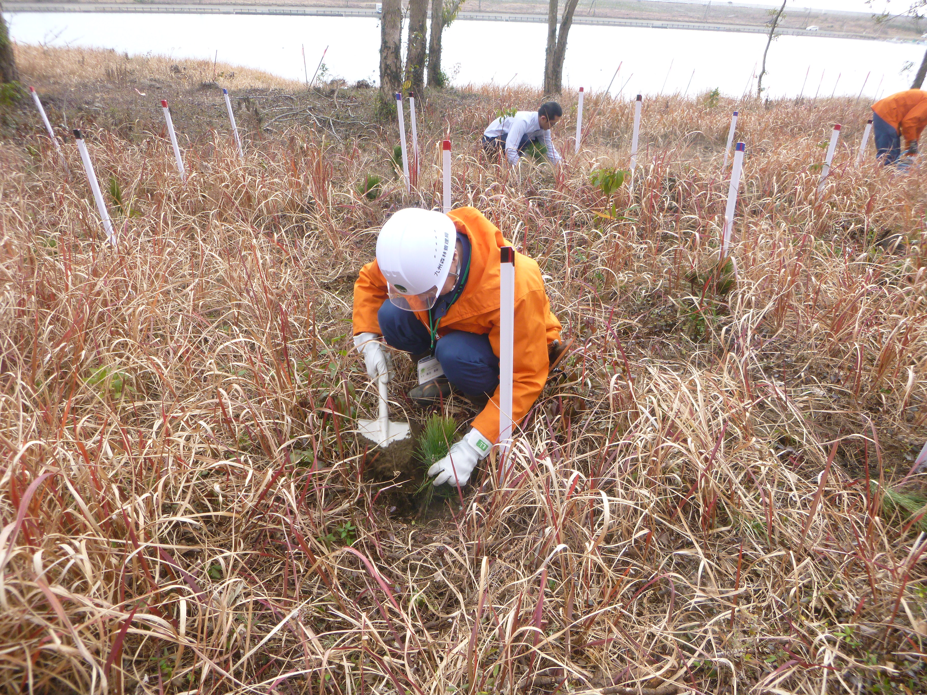 植栽作業中