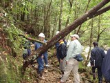 遊歩道沿いの枯損木等の点検